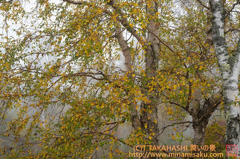 ../Images/7R251019 (148).jpg